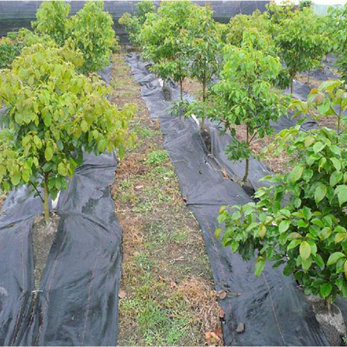 防草布（園藝地布）